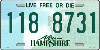 NH license plate 1188731