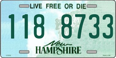 NH license plate 1188733