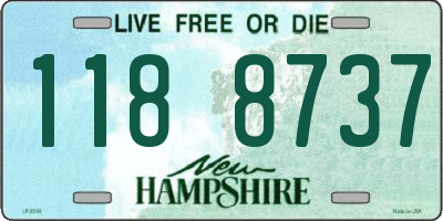 NH license plate 1188737