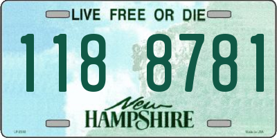 NH license plate 1188781