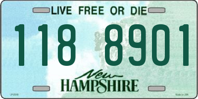 NH license plate 1188901