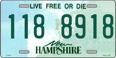 NH license plate 1188918
