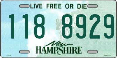 NH license plate 1188929
