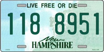 NH license plate 1188951