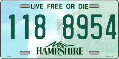 NH license plate 1188954