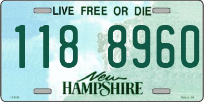 NH license plate 1188960