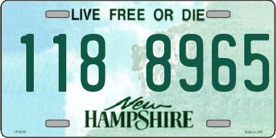NH license plate 1188965