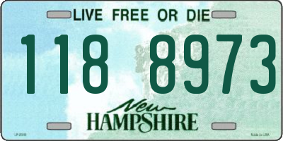 NH license plate 1188973