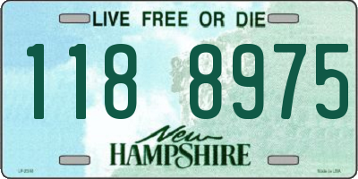 NH license plate 1188975