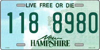 NH license plate 1188980
