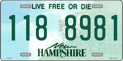 NH license plate 1188981