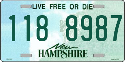 NH license plate 1188987