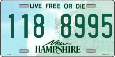 NH license plate 1188995