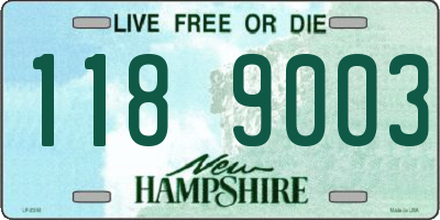 NH license plate 1189003