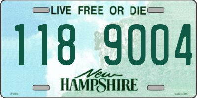 NH license plate 1189004
