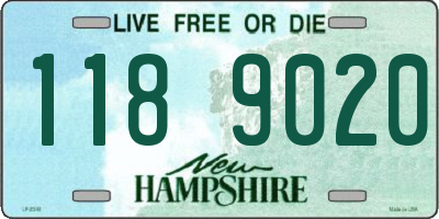 NH license plate 1189020