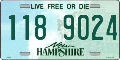 NH license plate 1189024