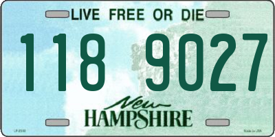 NH license plate 1189027