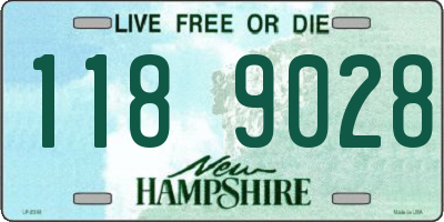 NH license plate 1189028