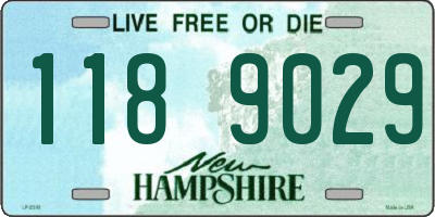 NH license plate 1189029