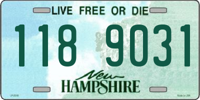 NH license plate 1189031