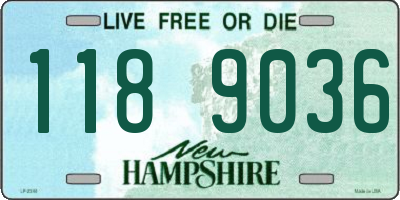 NH license plate 1189036
