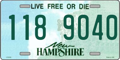 NH license plate 1189040