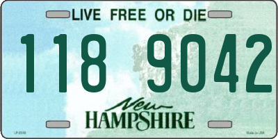 NH license plate 1189042