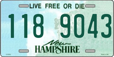 NH license plate 1189043
