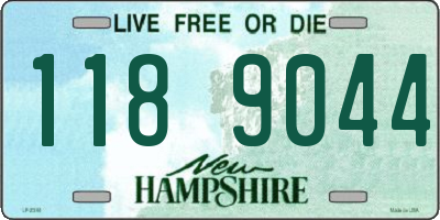 NH license plate 1189044