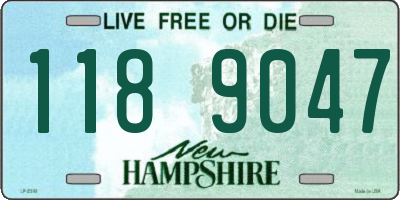 NH license plate 1189047