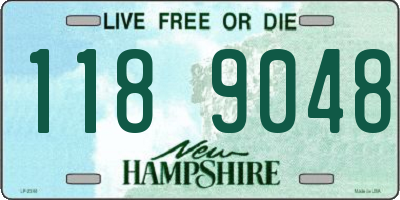 NH license plate 1189048