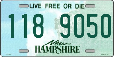 NH license plate 1189050