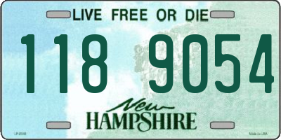 NH license plate 1189054