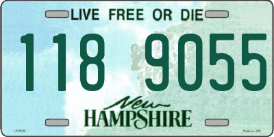 NH license plate 1189055