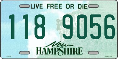 NH license plate 1189056