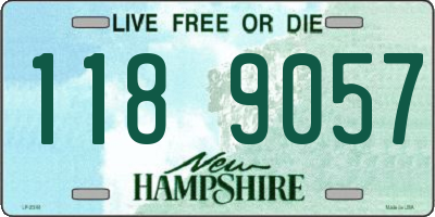 NH license plate 1189057