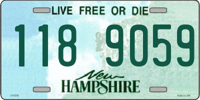 NH license plate 1189059