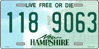 NH license plate 1189063