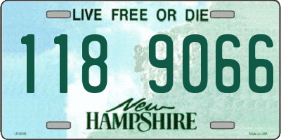 NH license plate 1189066