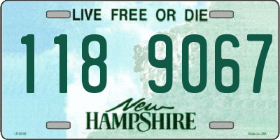NH license plate 1189067