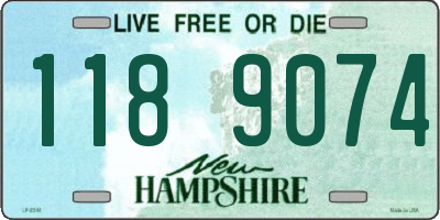 NH license plate 1189074
