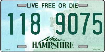 NH license plate 1189075