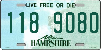 NH license plate 1189080