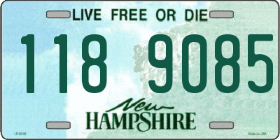 NH license plate 1189085