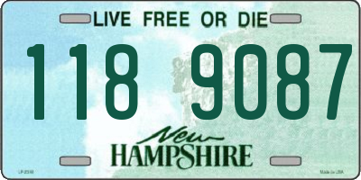 NH license plate 1189087