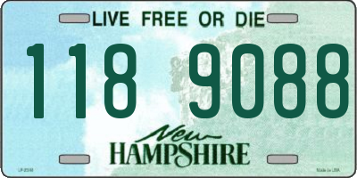 NH license plate 1189088