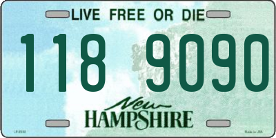 NH license plate 1189090