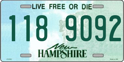 NH license plate 1189092