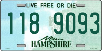 NH license plate 1189093